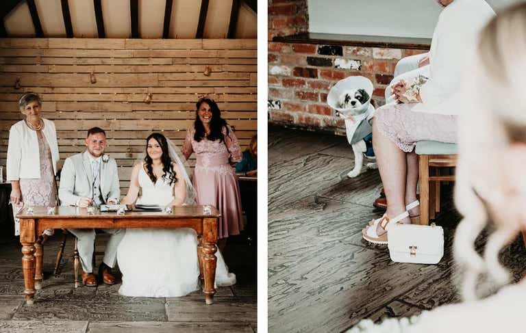 Bride and groom signing register smiling. Dog wedding guest wearing bow tie and suit