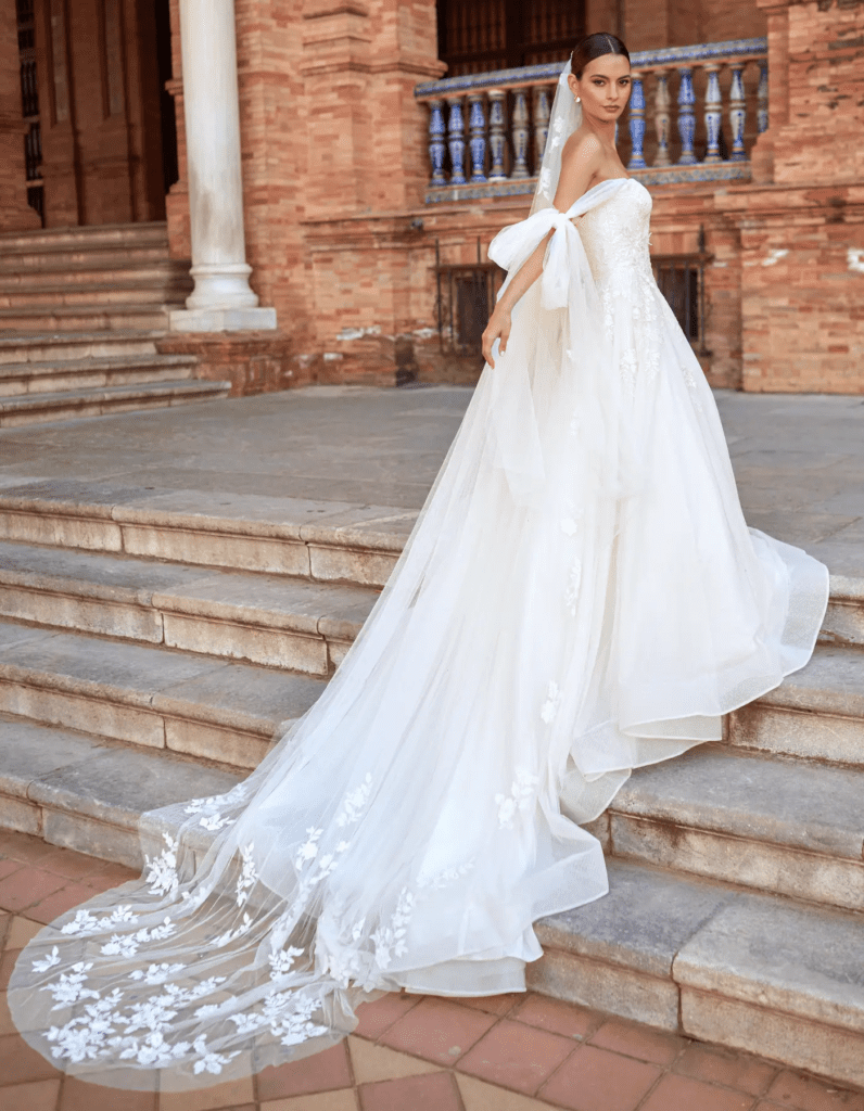 Imani embellished veil by Amixi inspired by Taylor Swift’s bridal style